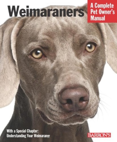 Weimaraners