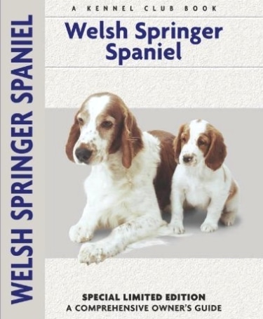 Guide to the Welsh Springer Spaniel