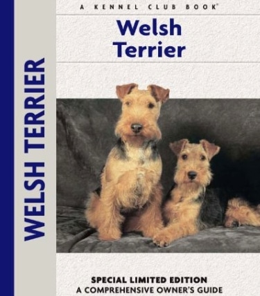 Guide to the Welsh Terrier