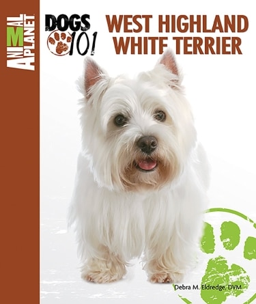 Guide to the West Highland White Terrier