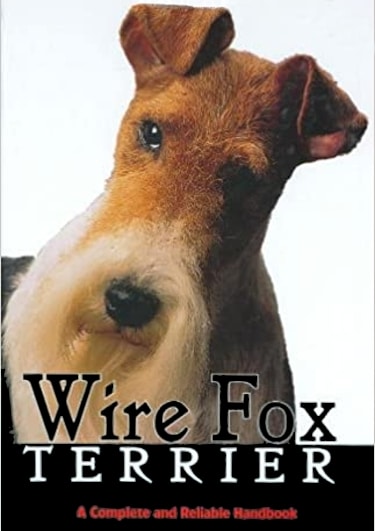 Guide to the Wire Fox Terrier