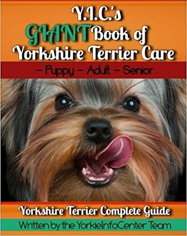 Guide to the Yorkshire Terrier