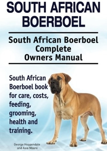 Guide to the Boerboel Dog