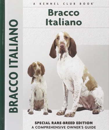Guide to the Bracco Italiano