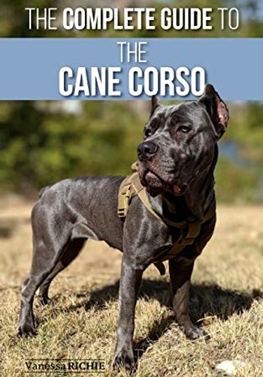 Guide to the Cane Corso