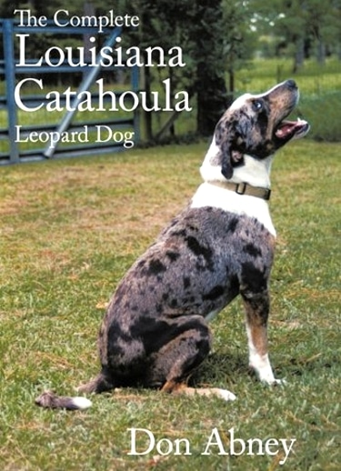 Guide to the Catahoula Leopard Dog