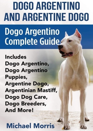 Guide to the Dogo Argentino