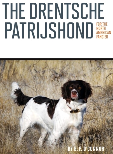 Guide to the Dutch Partridge Dog