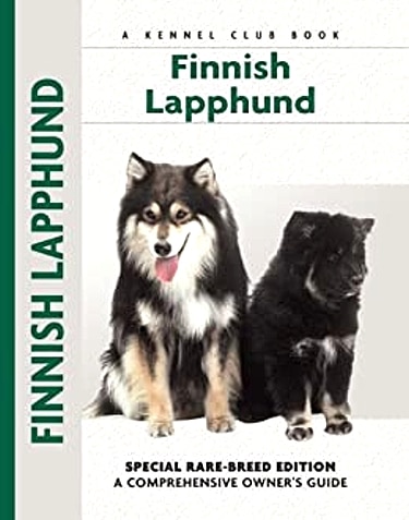 Guide to the Finnish Lapphund