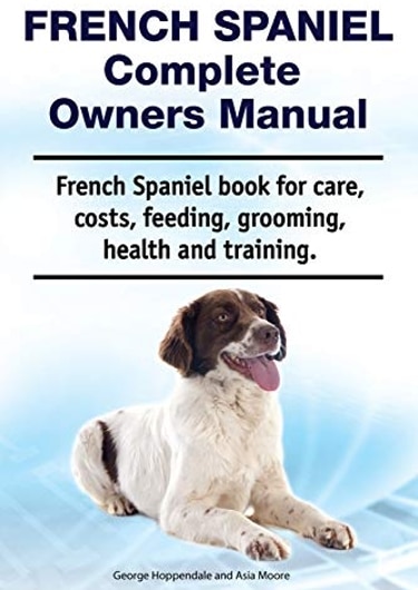 Complete Guide to the French Spaniel