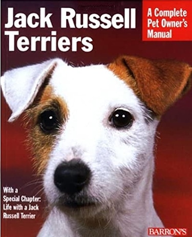 Jack Russell Terriers