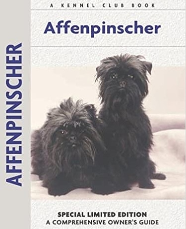 Guide to the Affenpinscher