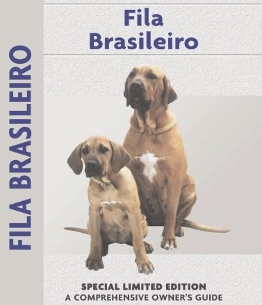 Fila Brasileiro Facts - Wisdom Panel™ Dog Breeds