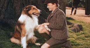Lassie Come Home - Pal
