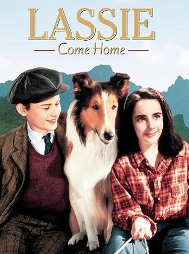 Lassie Come Home - movie poster