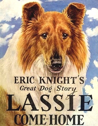 Famous Dogs in History: Pal: The First Lassie