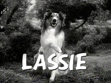 Lassie - tv series