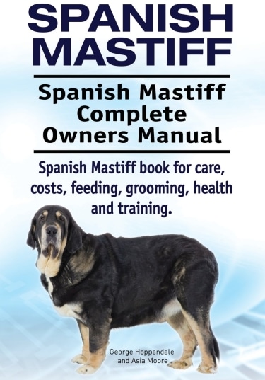 Guide to the Spanish Mastiff