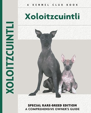 Guide to the Xoloitzcuintli